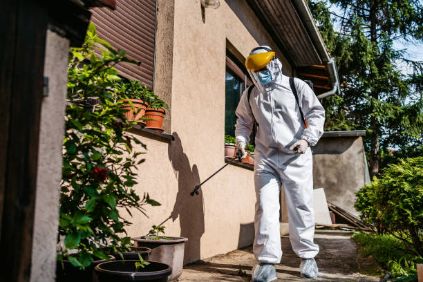 Best Pest Removal Services  in Tooele, UT