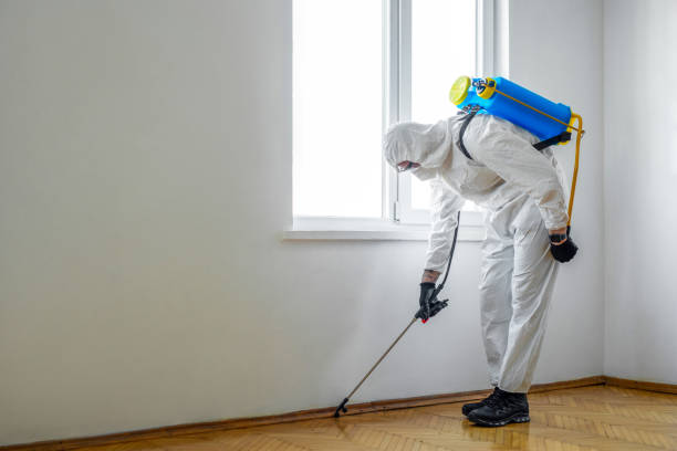 Best Termite Control Services  in Tooele, UT