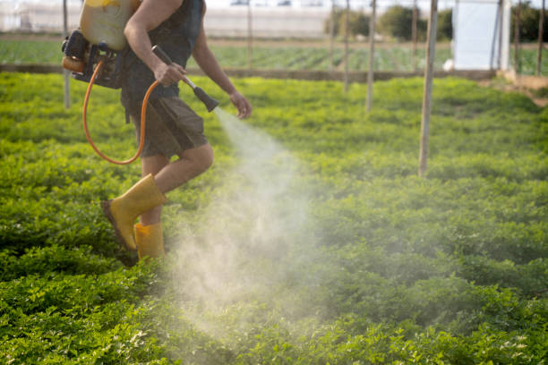 Best Wildlife Control Services  in Tooele, UT