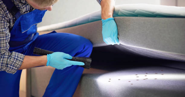Professional Pest Control in Tooele, UT