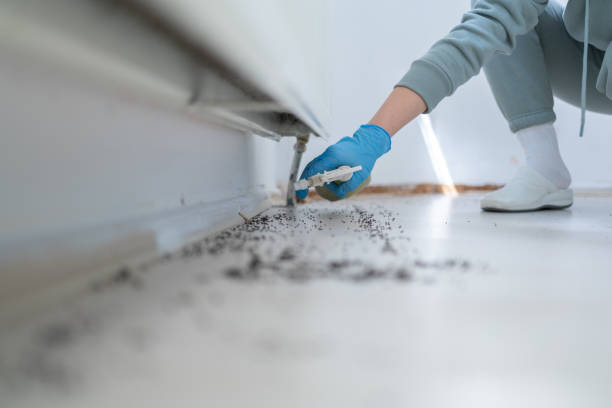 Best Emergency Pest Control  in Tooele, UT